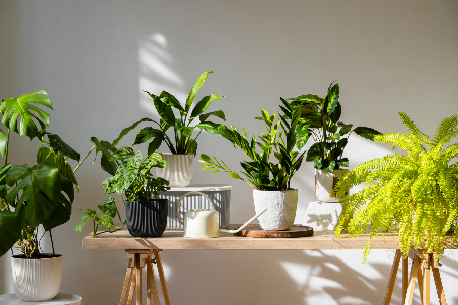 dapatkan perlengkapan berkebun di oneso